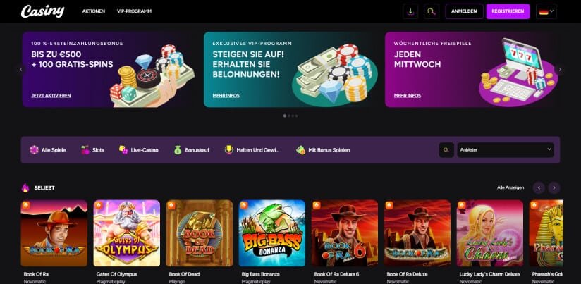 Everything You Need to Know About Casiny Login 65