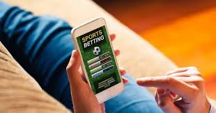 Play Slot Games That Offer Risk Bonus Rounds 13