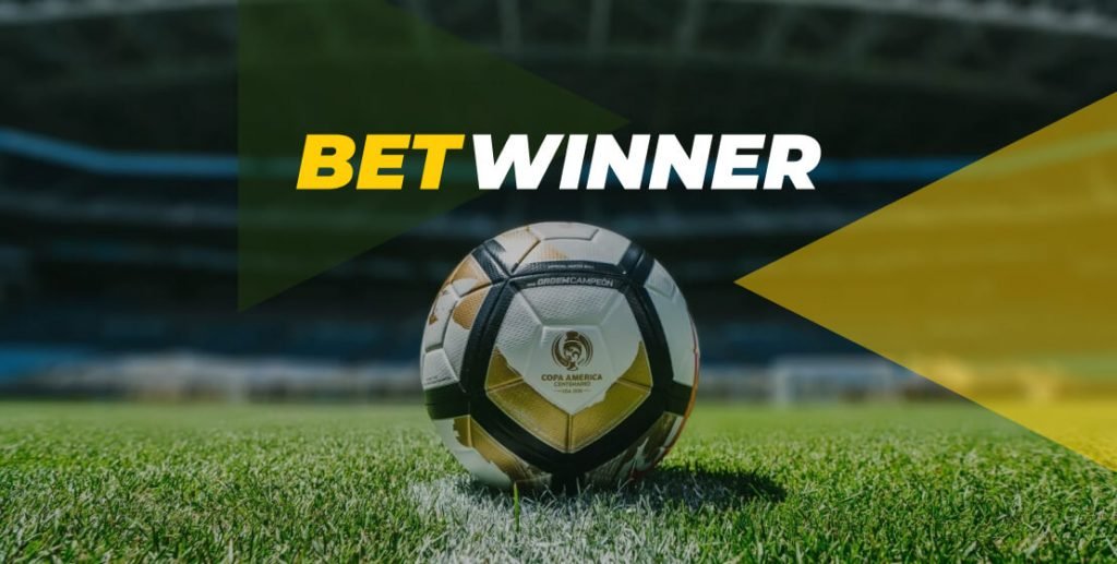 Aventura y Ganancias en Betwinner Casino Todo lo que Necesitas Saber