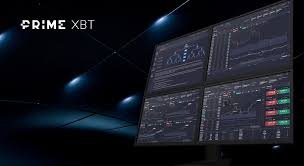 Comprehensive Insights Reviews About PrimeXBT AR