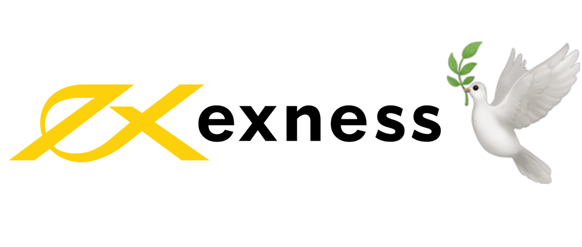 Exness User Review A Comprehensive Analysis for Traders