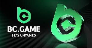 BCStavka Login Your Gateway to Online Betting 842881096