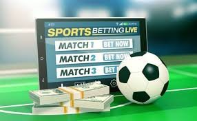 1xBet O Guia Completo para Apostas Online