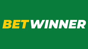 Explore BetWinner Sportsbook Your Key to Online Betting Success