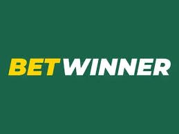 BetWinner Gambling Platform A Comprehensive Review 2017951144
