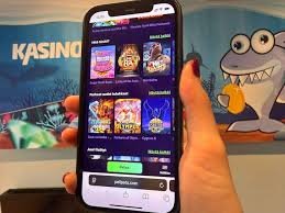 Buitenlandse Casino's Wat je Moet Weten -1473027