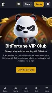 Maximizing Profits The Mines Bankroll Strategy at Bitfortune