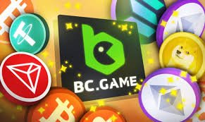 Understanding the BC Application Features, Benefits, and Usage