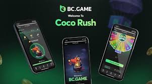 Understanding the BC Application Features, Benefits, and Usage