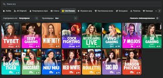 JB Casino Your Ultimate Gaming Destination